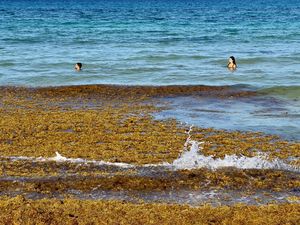 3 Fakta Mengapa Air Laut Asin, Begini Penjelasannya