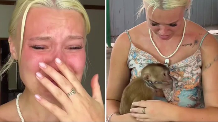 Turis nangis karena topeng monyet di Thailand
