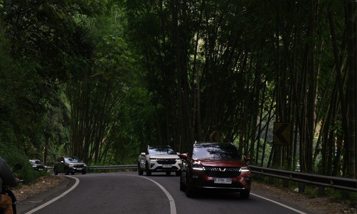 Wuling Alvez.