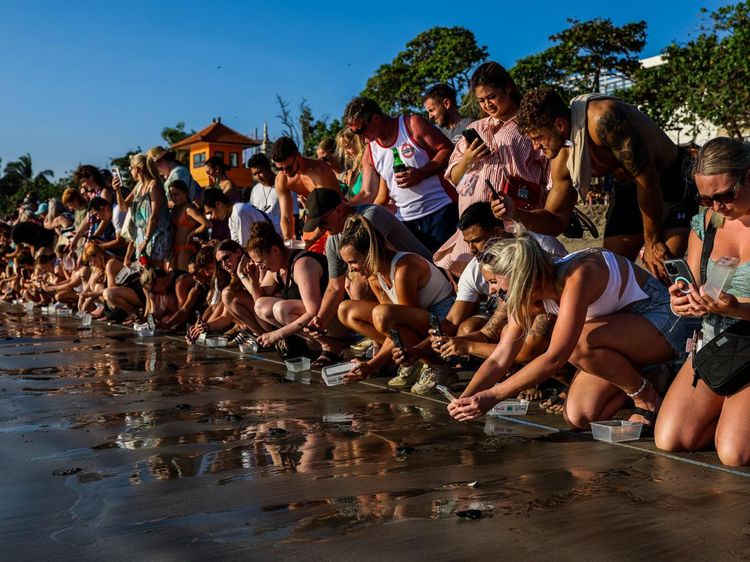 Antusias Ratusan Turis Ikut Lepas Tukik Penyu di Pantai Kuta