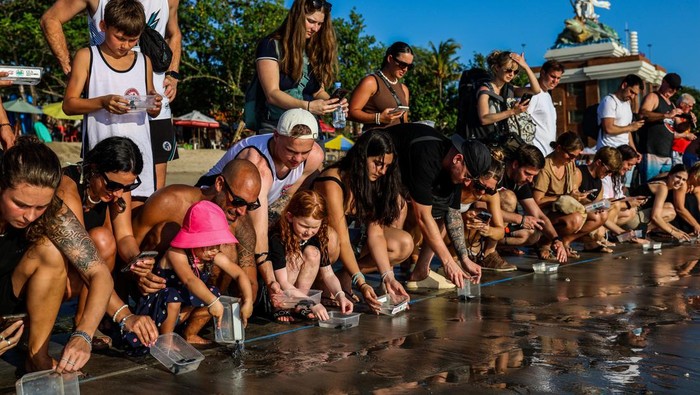 Foreign tourists listen to a staff member from conservation for instruction during a release program by the Bali Sea Turtle Society on May 24, 2023, in Kuta, Bali, Indonesia. Conservationists released 240 newly hatched baby turtles on Kuta Beach. The sea hatchlings release program is part of the turtle conservation effort which has been taking place at Kuta Beach since 2002. (Photo by Garry Lotulung/NurPhoto via Getty Images)