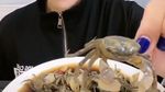Merinding! 10 Food Vlogger Ini Nekat Mukbang Makanan Ekstrem