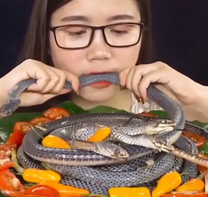 Merinding! 10 Food Vlogger Ini Nekat Mukbang Makanan Ekstrem