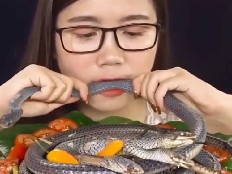 10 Aksi Nekat Vlogger Mukbang Ekstrem, Makan Kepala Babi hingga Ular