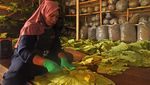 Kreatif! Warga Kembangkan Tembakau Berbahan Herbal