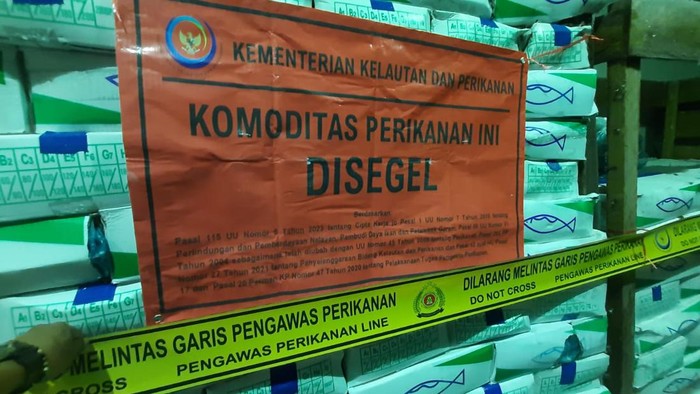 KKP Segel 9,7 Ton Ikan Salem Impor Tak Sesuai Peruntukan di Kalimantan Barat