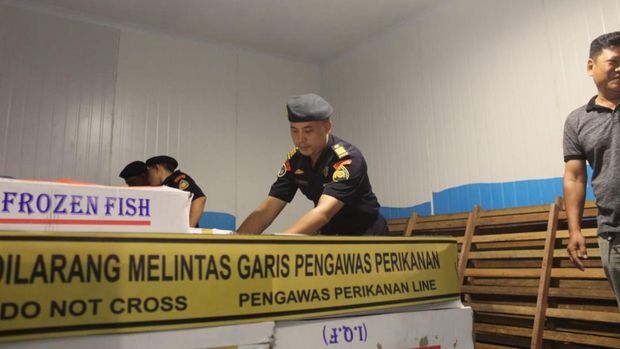 KKP Segel 9,7 Ton Ikan Salem Impor Tak Sesuai Peruntukan di Kalimantan Barat