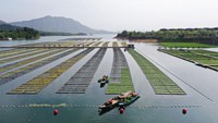 Saat ini China sedang membangun proyek pertanian modern terapung terbesar di dunia.