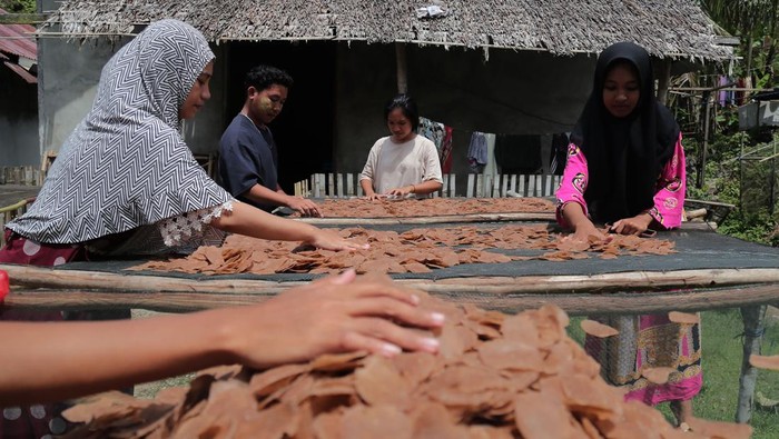 Melihat Produksi Kerupuk Kamplang Khas Pulau Bacan Warga suku Bajo menjemur kerupuk kamplang di Desa Bajo Sangkuang, Pulau Bacan, Kabupaten Halmahera Selatan, Maluku Utara, Rabu (24/5/2023). Kerupuk kamplang yang berbahan dasar ikan tuna dan sagu itu merupakan salah satu cemilan khas Pulau Bacan yang dijual Rp20 ribu per kilogramsampaiRp30 ribu per kilogram yang dipasarkan hingga Ternate dan Manado. ANTARA FOTO/Andri Saputra/aww.