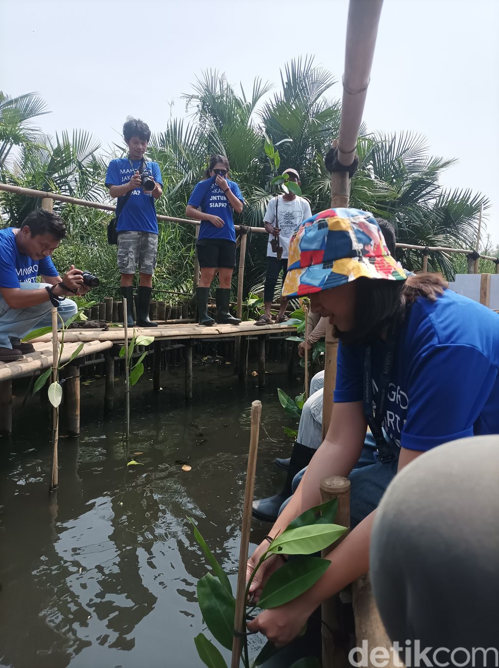 Penanaman  mangrove di Suaka Margasatwa Angke, Jakarta Utara.