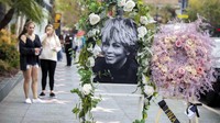 Setelah itu, Tina Turner memulai debutnya dengan nama panggungnya sampai saat ini. Single yang dikeluarkan dengan Ike Turner pada 1960 adalah A Fool in Love. Sejak itu Tina dan Ike Turner mulai melejit. AP/Sarah Reingewirtz  