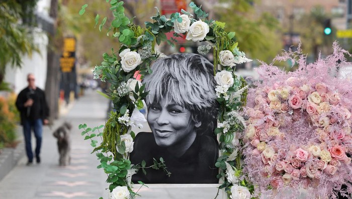 Penyanyi Legendaris Tina Turner Meninggal di Usia 83 Tahun, Ini Riwayat Sakitnya