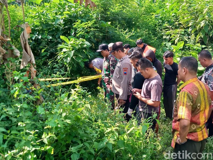 Polisi memeriksa jenazah pria yang ditemukan di kebun kosong Desa Karanganom, Klaten, Kamis (25/5/2023) siang.