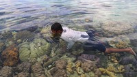Suku Bajo juga dikenal sebagai penangkap ikan ulung.  