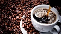 Cocok Diminum Pagi Hari, Ini 8 Khasiat Kopi Pahit Bagi Kesehatan Cocok Diminum Pagi Hari, Ini 8 Khasiat Kopi Pahit Bagi Kesehatan