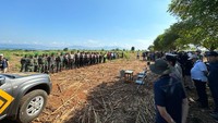 Adapun barang jaminan yang dilakukan penyitaan adalah tanah seluas 100.000 m2 di Desa Huu, Kecamatan Huu, Kabupaten Dompu, Provinsi Nusa Tenggara Barat, sebagaimana SHGB No. 2 atas nama PT ATLANTIK GRAHA BUANA.