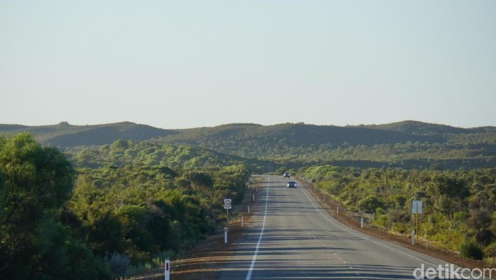 Semak Australia