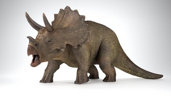 Triceratops menjadi salah satu jenis dinosaurus yang paling populer karena ciri khas ukuran kepala yang besar, bertanduk tiga dan mulut seperti paruh burung beo. Memiliki panjang tubuh sekitar 8,5 meter, tinggi sekitar 4 meter, dan berat mencapai 12 ton. Ia tampil di film The Lost World: Jurrasic Park. Foto: Getty Images/iStockphoto/avajjon