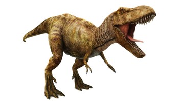 Tyrannosaurus Rex atau yang biasa disebut T-Rex merupakan dinosaurus yang paling terkenal. Saking populernya, T-Rex menjadi ikon dari logo film Jurassic Park, dan berbagai logo-logo yang berkaitan dengan dinosaurus lainnya. Panjangnya sekitar 12 meter, tinggi sekitar 4,5 meter serta berat mencapai 14 ton, T-Rex menjadi predator yang mendominasi di ekosistemnya. Foto: Getty Images/JoeLena