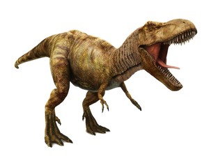 15 Nama-nama Dinosaurus yang Paling Populer, Ada yang Jadi Jagoanmu?