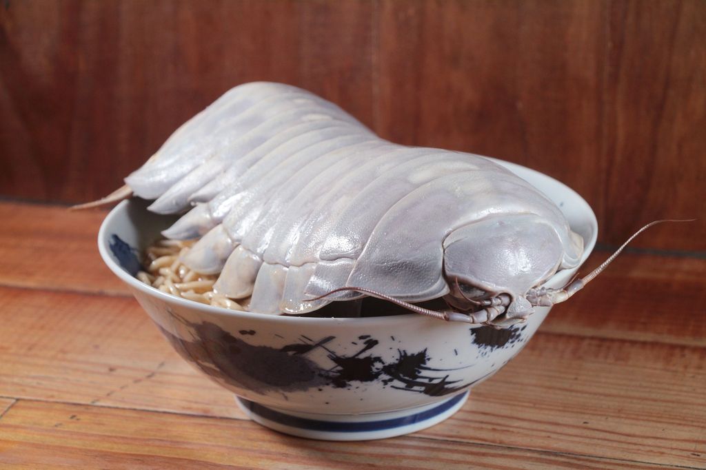 Unik! Ramen Topping Kutu Laut Raksasa Ini Hanya Ada di Taipei