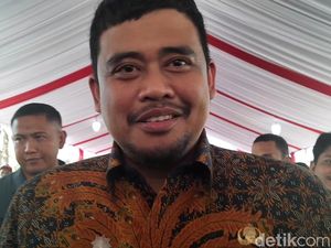 Walkot Bobby Pergi ke Belanda, Ngapain?