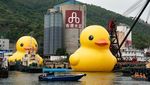 Bebek Karet Raksasa Muncul di Sungai Hong Kong
