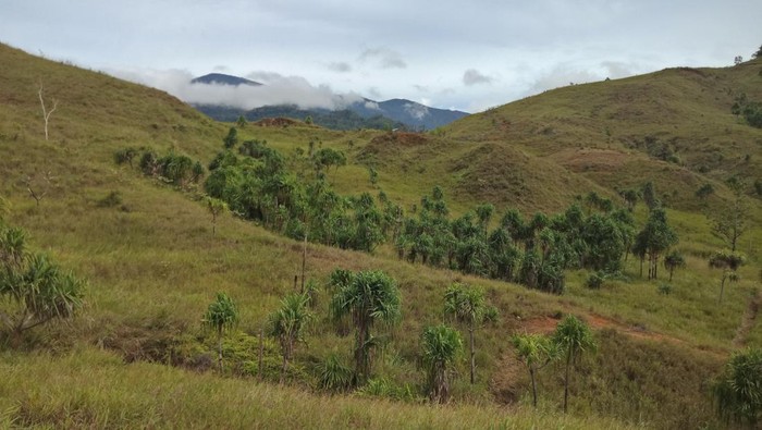 bukit khambu