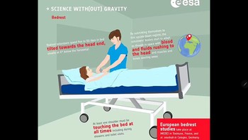 Tugas relawan hanya berbaring di tempat tidur selama kurang lebih dua bulan. Foto: ESA