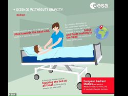 Pekerjaan Impian Kaum Rebahan, Bayarannya Ratusan Juta