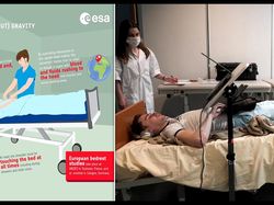 Pekerjaan Impian Kaum Rebahan, Bayarannya Ratusan Juta