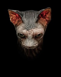 Jawara International Photography Awards 2023