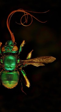 Jawara International Photography Awards 2023