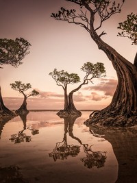 Jawara International Photography Awards 2023