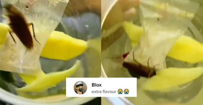 Jijik! Pria Ini Nyaris Telan Rujak Mangga Berikut Kecoa