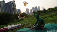 Azan magrib berkumandang dan mereka segera mengakhiri kegiatan melatih burungnya. Lalu dilanjutkan dengan beristirahat sejenak bersenda gurau sambil menikmati senja dan secangkir kopi lalu kembali kerumah masing-masing.
