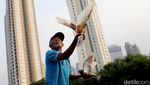 Kepak Merpati di Belantara Jakarta