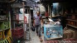 Kepak Merpati di Belantara Jakarta