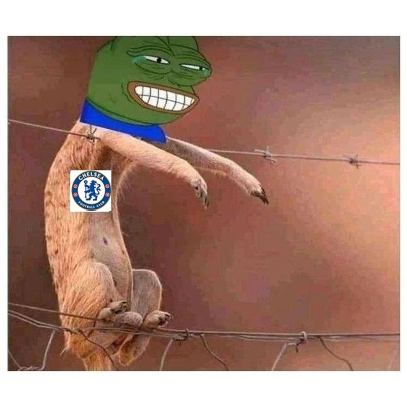 Meme Kocak Chelsea