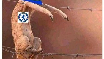 Ketika fans mendapati kalau Chelsea baru saja dibantai MU 1-4 Foto: Twitter
