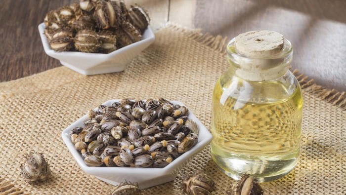 6 Manfaat Minyak Jarak bagi Kesehatan serta Efek Sampingnya