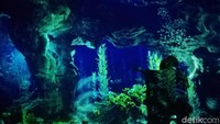 Bagi kamu yang telah menonton film live-action The Little Mermaid, sudah saatnya menyelami dunia bawah laut. Foto: Tia Agnes/ detikHOT