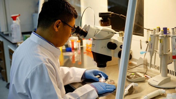 A cloned baby camel is pictured at the farm of the Reproductive Biotechnology Centre in Dubai, which researches and creates novel cloning techniques to reproduce camels, in Dubai, United Arab Emirates, May 18, 2023. REUTERS/Rula Rouhana