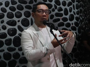 Ridwan Kamil Bakal Bangun Kursi di Sungai Aare untuk Kenang Eril