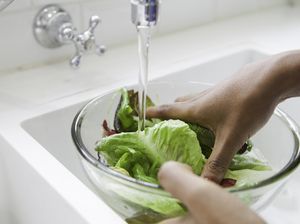 Apa Perlu Daun Selada Dicuci Sebelum Dimakan?