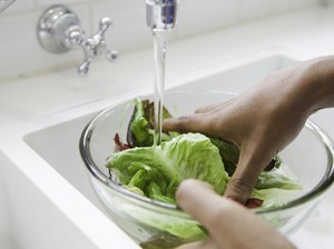 Apa Perlu Daun Selada Dicuci Sebelum Dimakan?