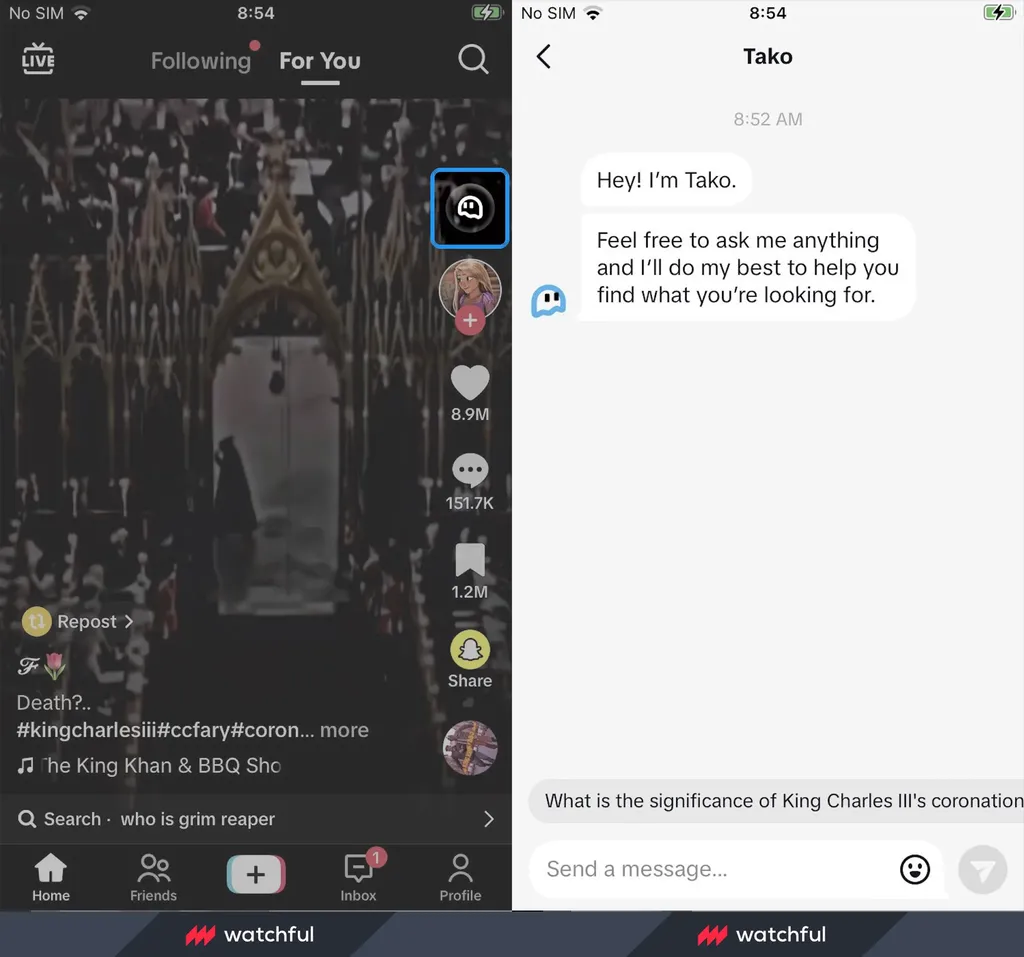 Tampilan chatbot Tako di TikTok