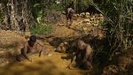 Potret Pekerja Tambang Emas di Venezuela Tanpa APD, Ga Bahaya Ta?
