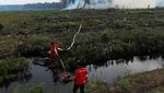 100 Hektar Hutan Gambut di Sumatera Barat Terbakar