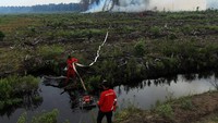 Petugas menyiapkan selang air untuk memadamkan kebakaran hutan gambut di Kecamatan Silaut Kabupaten Pesisir Selatan, Sumatera Barat. 